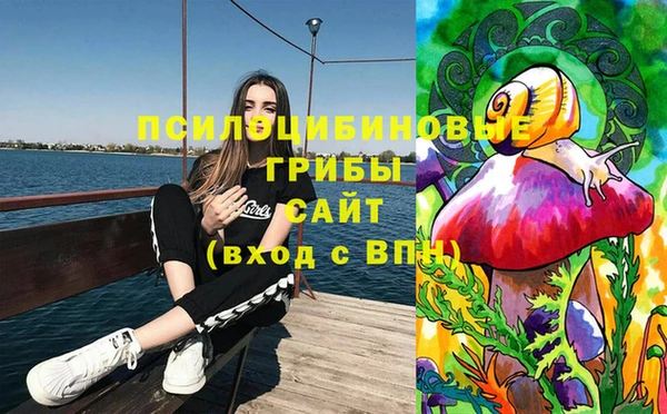 мет Зеленодольск
