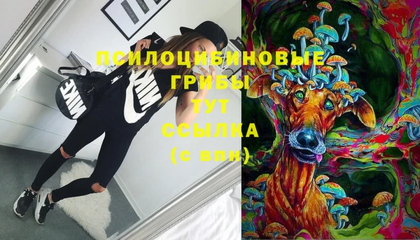 мет Зеленодольск