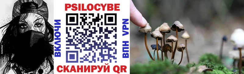 Псилоцибиновые грибы мицелий  Купить где  Фрязино 